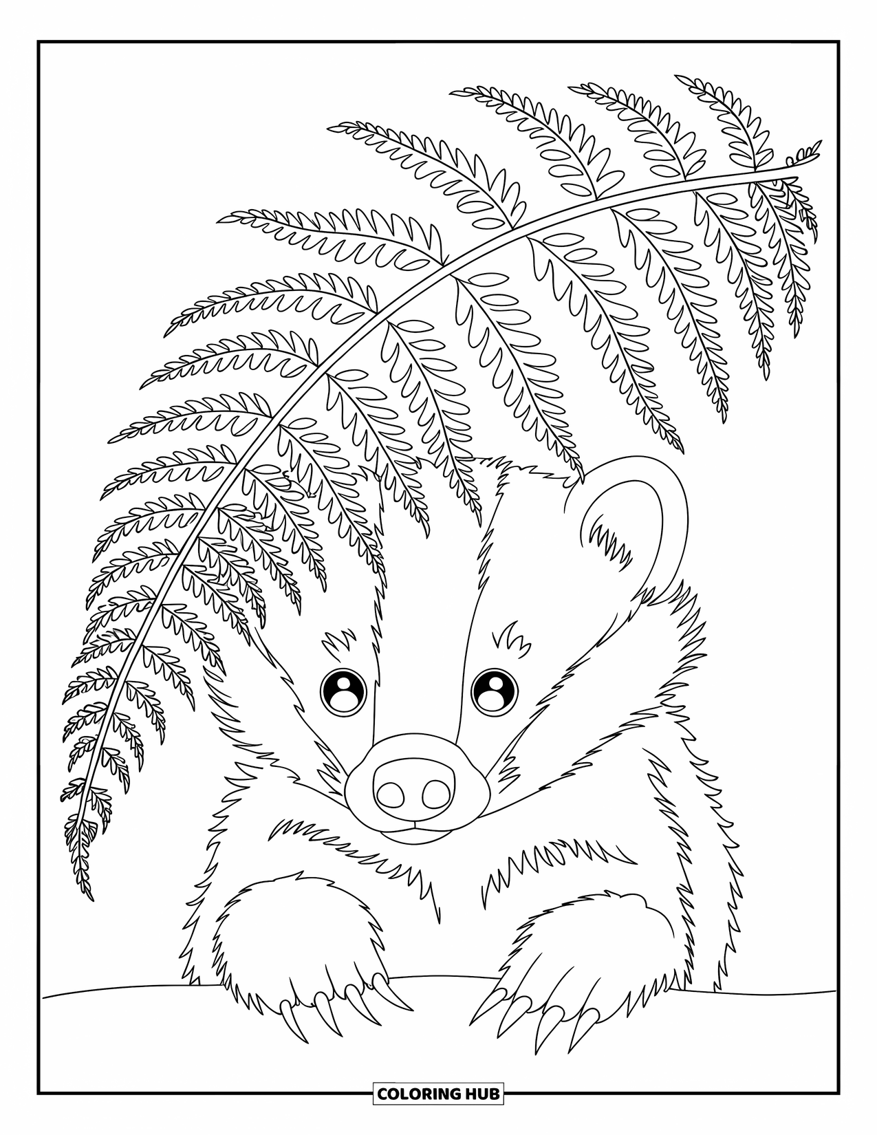 Woodland Animal Coloring Page for Kids: A curious badger with big eyes peeks out from under soft fern leaves
