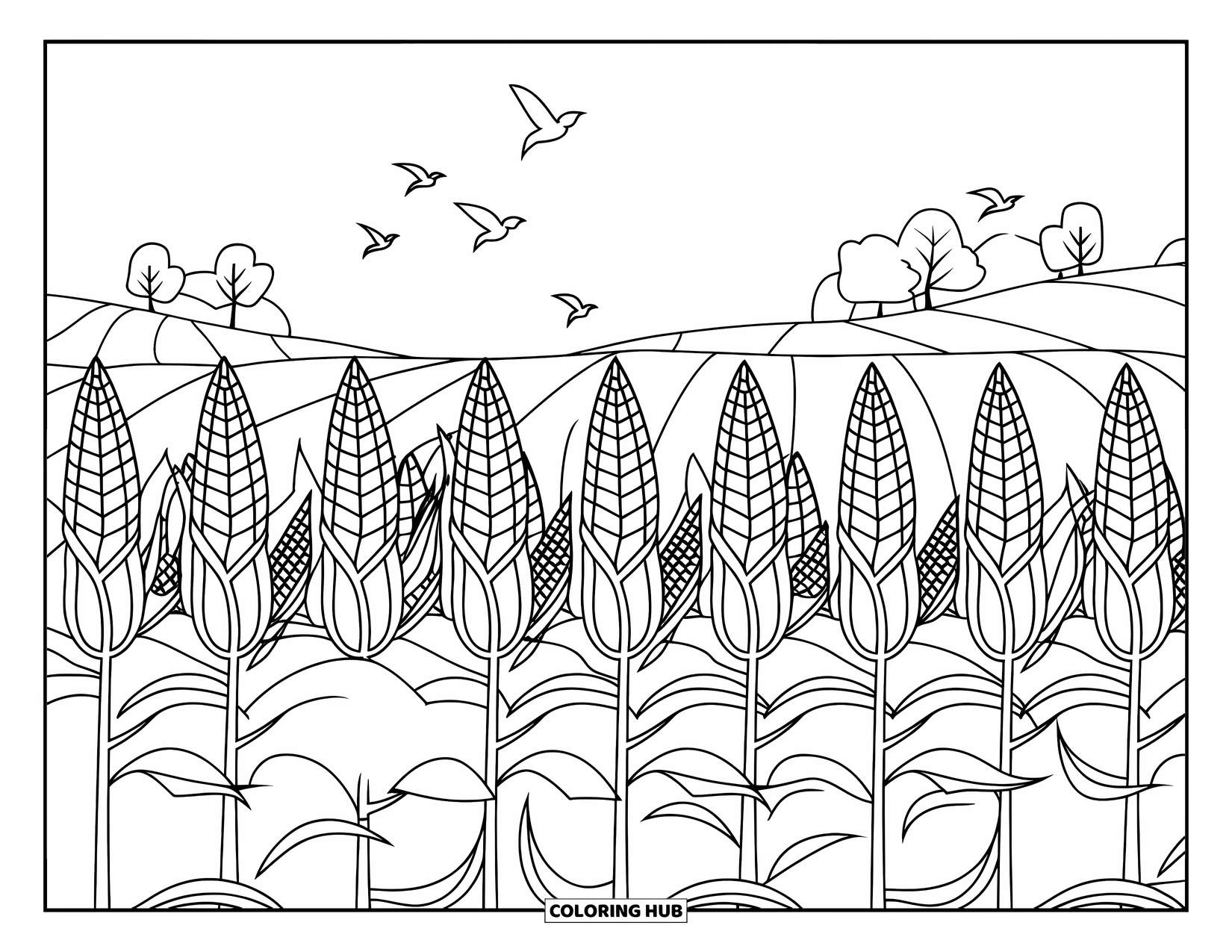 Yellow Coloring Page for Adults: Tall corn stalks and flying birds fill a peaceful countryside scene