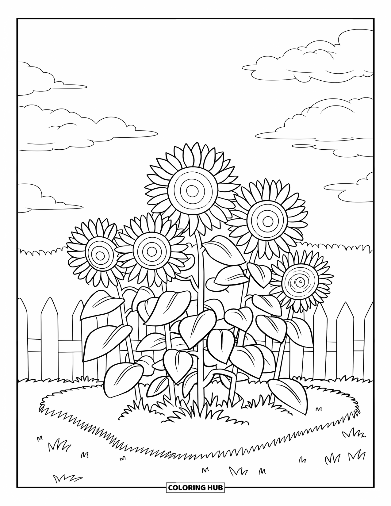 Yellow Coloring Page for Kids: A bunch of sunflowers bloom in a garden patch with a fence and clear sky