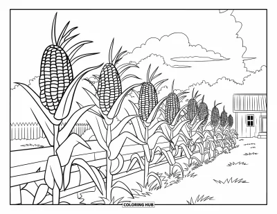 Dibujo del color amarillo para colorear para niños: Tallos de maíz crecen junto a una valla de madera cerca de una casa y nubes esponjosas