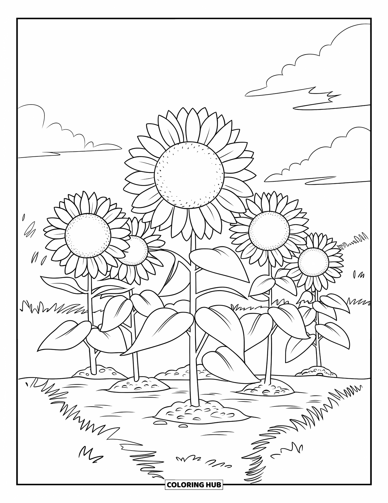Yellow Coloring Page for Kids: Sunflowers with big heads grow in a grassy garden under a bright sky