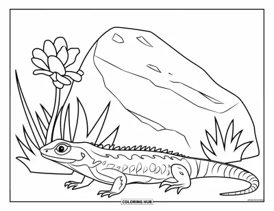 Coloriage d'Arizona pour enfants : Un lézard rampe près d'un rocher craquelé et d'une fleur