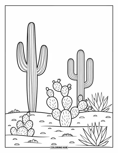 Coloriage d'Arizona pour enfants : Des saguaros, des figuiers de Barbarie et de l'agave en fleurs garnissent le sol désertique