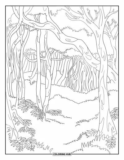 Coloriage d'Australie pour adultes : Des arbres de la forêt tropicale entrelacés avec une végétation dense et des feuilles tombées