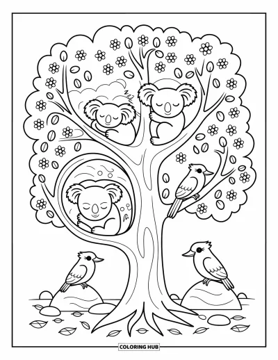 Coloriage d'Australie pour adultes : Des koalas et des kookaburras se reposent paisiblement dans un eucalyptus