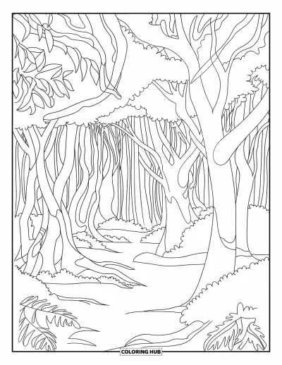Coloriage d'Australie pour adultes : Une forêt tropicale avec une canopée d'arbres et une végétation dense