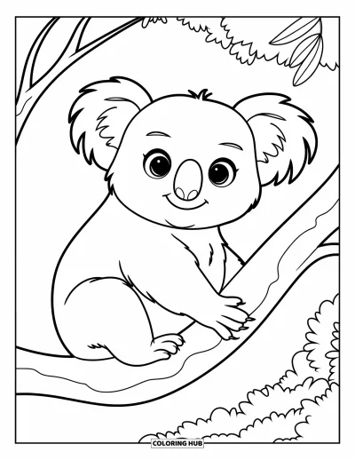 Coloriage d'Australie pour enfants : Un koala perché sur une branche d'eucalyptus courbée