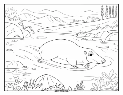 Coloriage d'Australie pour enfants : Un ornithorynque nage paisiblement dans une rivière de montagne