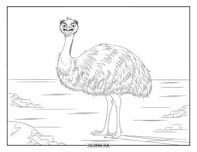 Coloriage d'Australie pour enfants : Un grand émeu se tient dans un désert ouvert