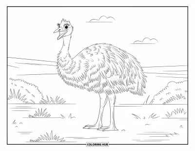 Coloriage d'Australie pour enfants : Un émeu aux grands yeux se tient dans le désert ouvert