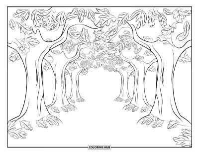 Autumn Leaves Coloring Page for Kids: Oak and beech leaves line a forest tunnel path with tall trees all around