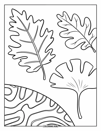Autumn Leaves Coloring Page for Kids: Oak, birch, and ginkgo leaves spaced evenly with thick, clean outlines