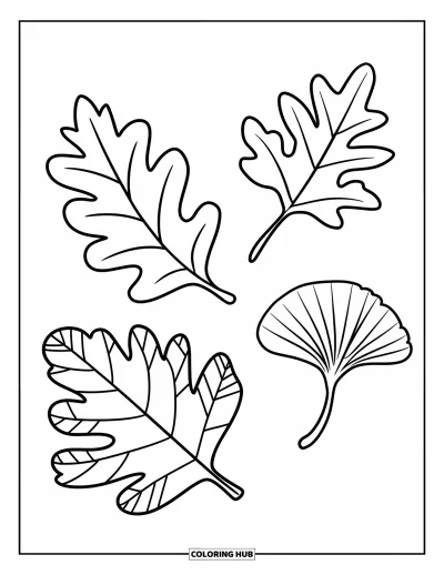 Autumn Leaves Coloring Page for Kids: Oak, birch, and ginkgo leaves spaced out for easy coloring fun