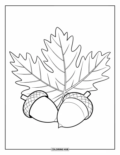 Autumn Leaves Coloring Page for Kids: Oversized chestnut leaf and acorns drawn in a fun, simple style