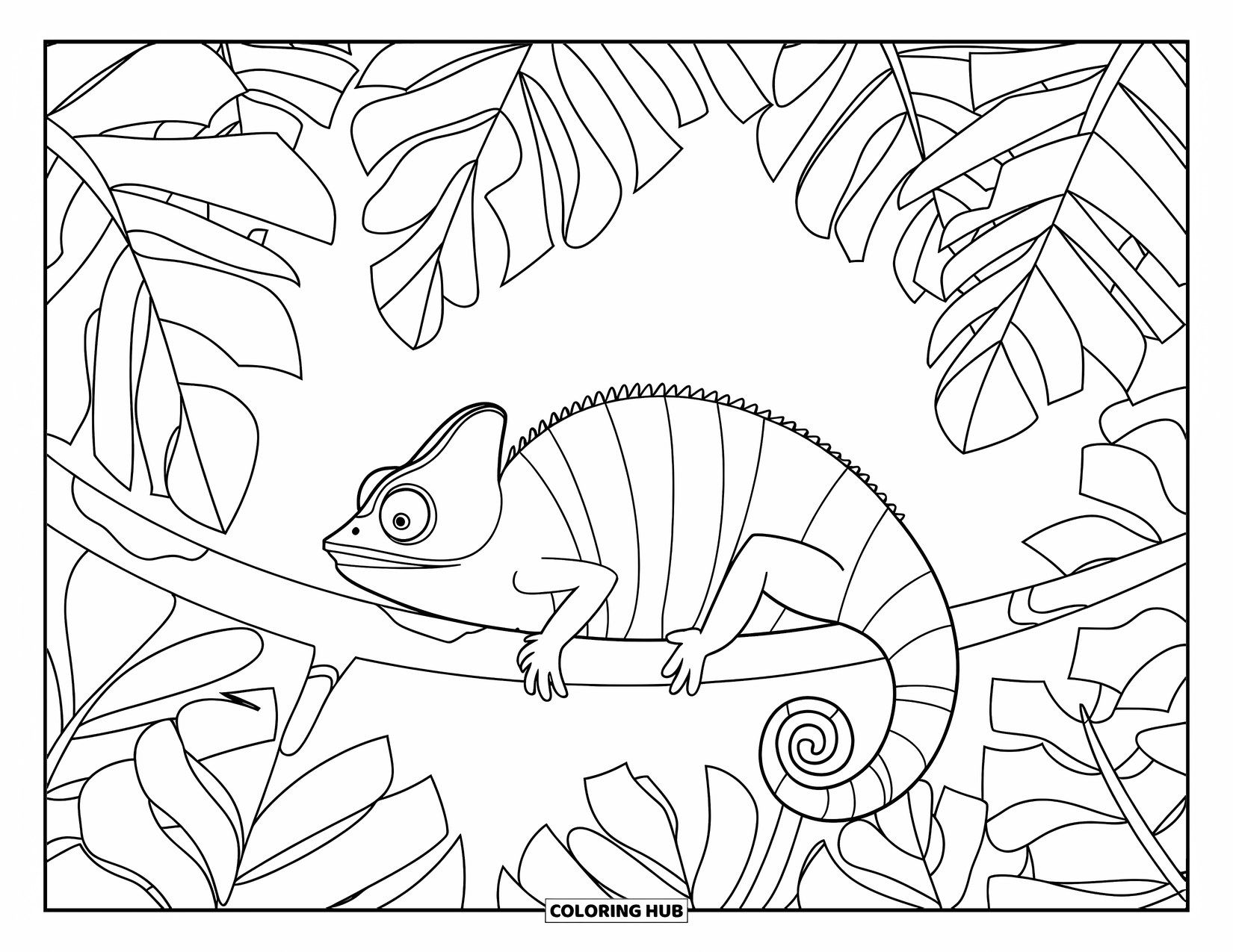Chameleon Coloring Page for Kids: A relaxed chameleon perches among giant jungle leaves