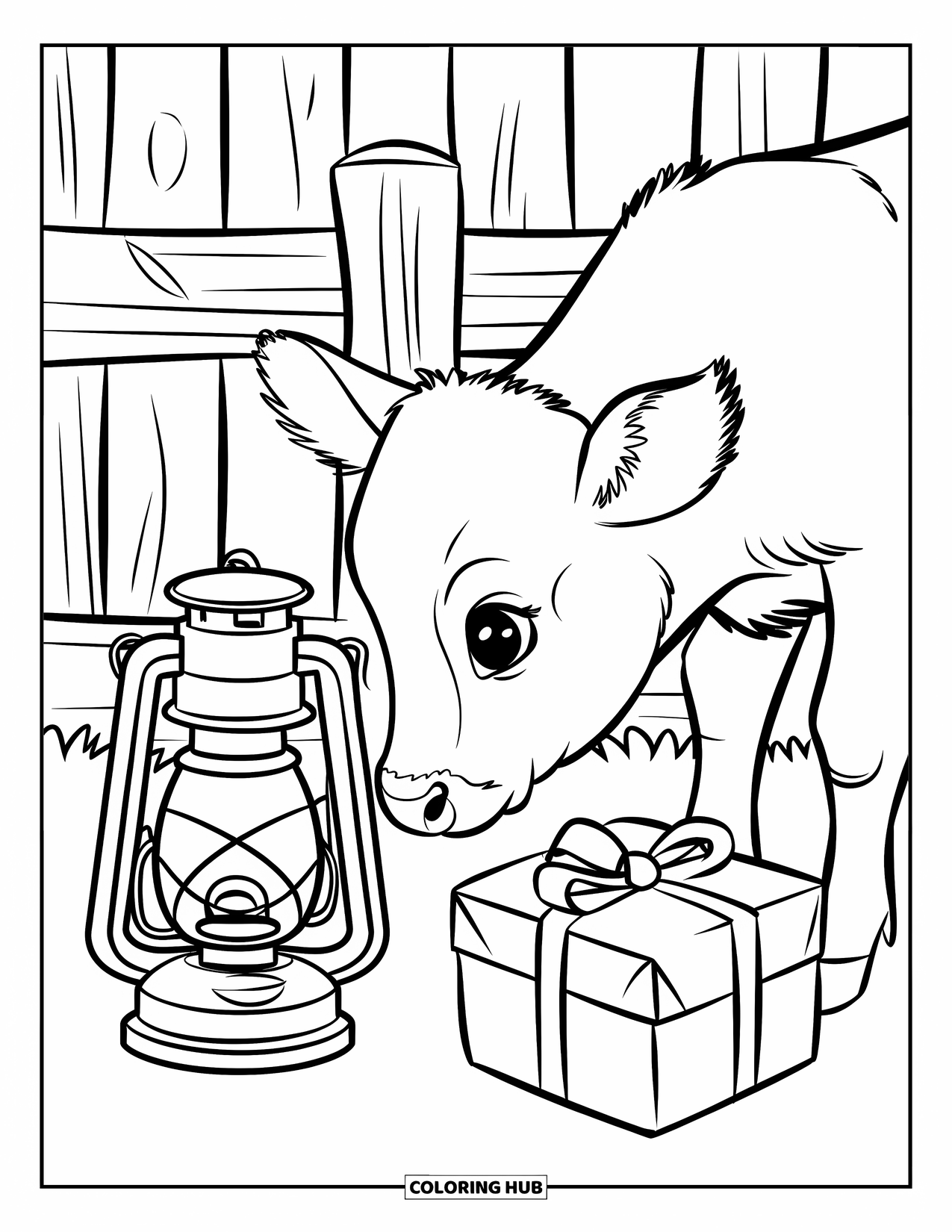 Christmas Cow Coloring Page for Kids: A baby cow sniffing a lantern beside a rustic wooden fence