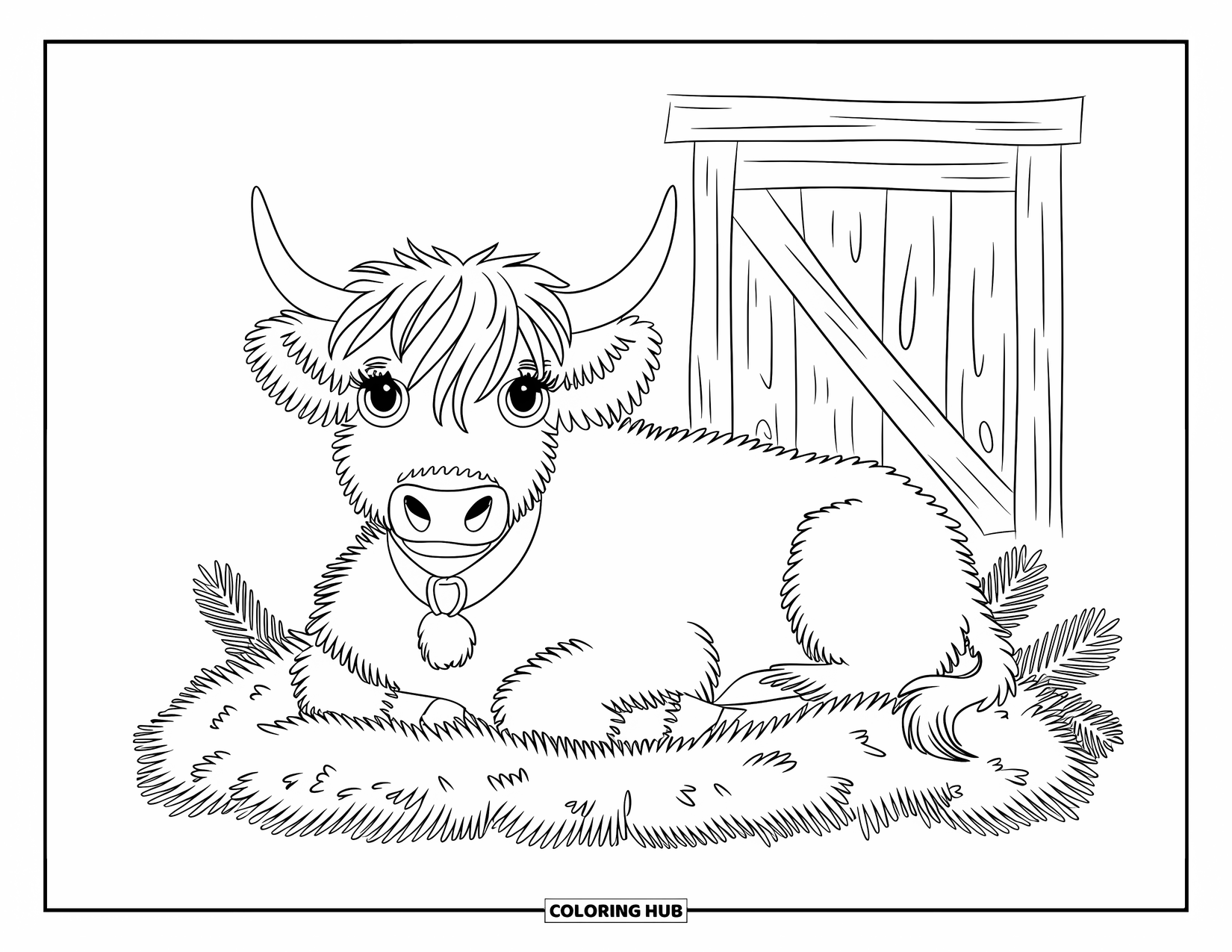 Christmas Cow Coloring Page for Kids: A fluffy highland cow resting on hay with pine sprigs in a barn
