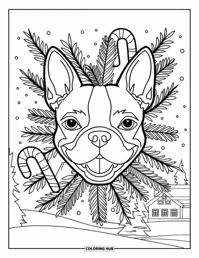 Jule-fargeleggingsark med hund for voksne: Et Boston terrier-ansikt innrammet av furu og sukkerstenger i et snødekt motiv