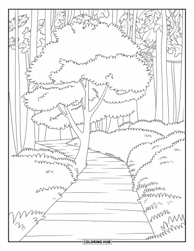 Coloriage d'arbre d'automne pour enfants : Arbre d'automne près d'un chemin forestier avec des marches en bois et de grands arbres