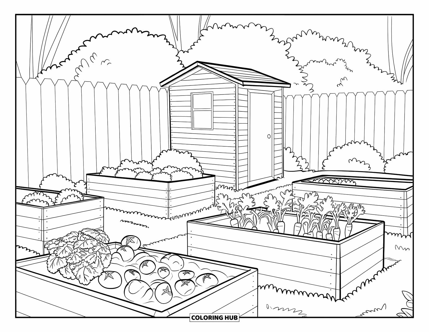 Gardening Coloring Page for Kids: Raised beds full of vegetables near a small wooden shed