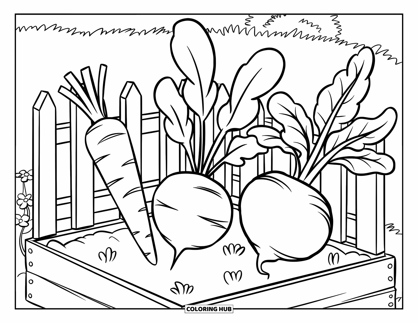 Gardening Coloring Page for Kids: Raised garden bed of vegetables with a small white fence