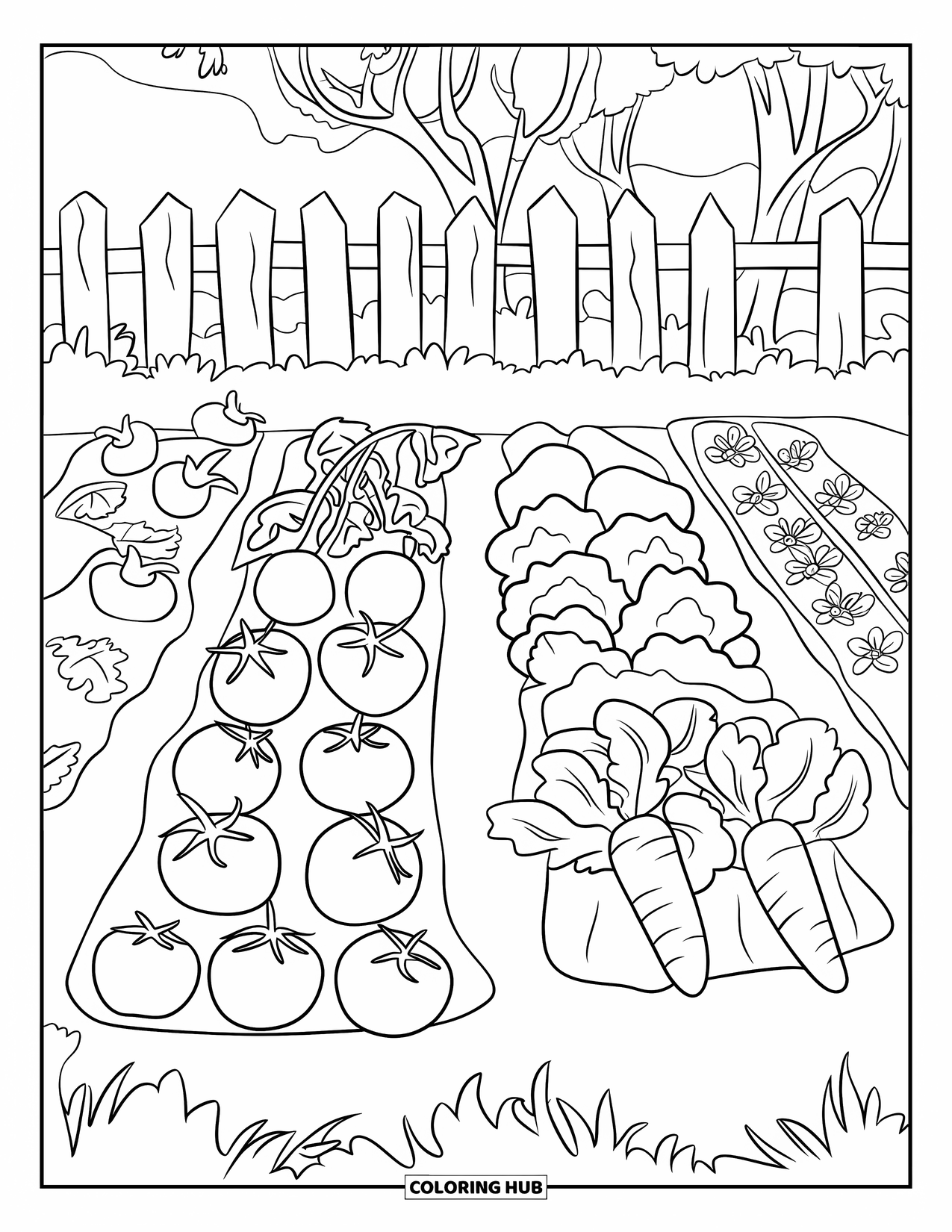 Gardening Coloring Page for Kids: Small patch of tomatoes, lettuce, and carrots near a fence