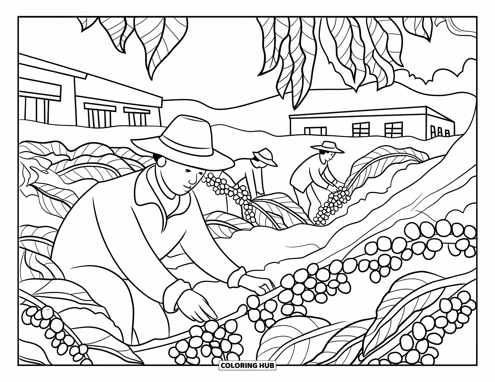 Guatemala Coloring Page for Adults: People harvest ripe coffee in the shade near rustic buildings
