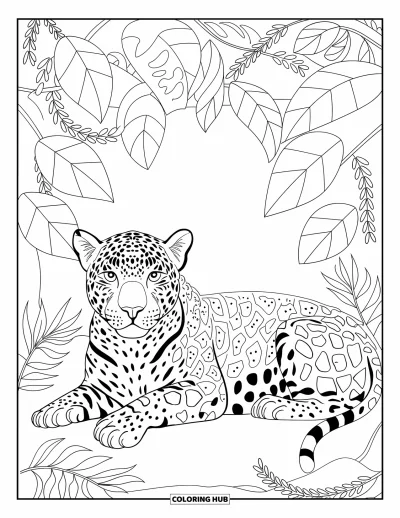Coloriage du Guatemala pour adultes : Un jaguar tacheté se détend sous de grandes feuilles et des lianes de la jungle