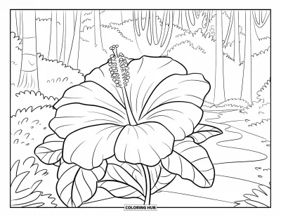 Coloriage du Guatemala pour enfants : Un grand hibiscus fleurit près des arbres et des sentiers de la jungle