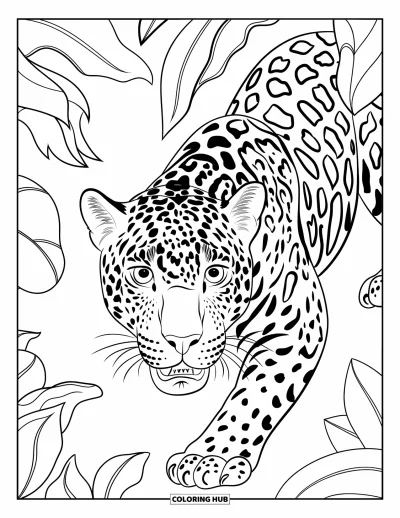 Coloriage du Guatemala pour enfants : Un jaguar aux aguets observe depuis les profondeurs de la jungle