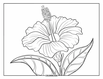 Coloriage du Guatemala pour enfants : Grande fleur tropicale avec de larges feuilles et des lianes