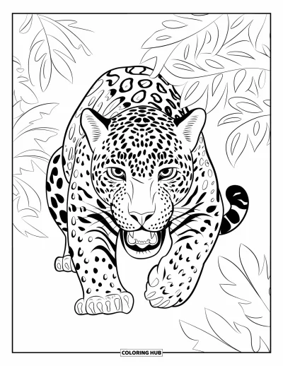 Coloriage du Guatemala pour enfants : Jaguar menaçant aux dents découvertes caché dans les sous-bois feuilllus
