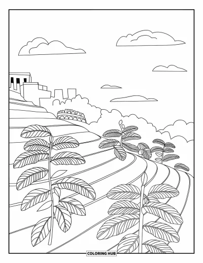Coloriage du Guatemala pour enfants : Des caféiers poussent à flanc de colline sous un ciel dégagé
