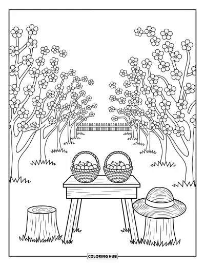 Coloriage du Michigan pour adultes : Verger de cerisiers en fleurs avec des paniers de cerises et une clôture en bois
