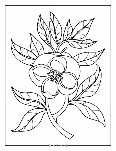 Coloriage du Michigan pour enfants : Fleur de pommier avec cœur rond et pétales en spirale