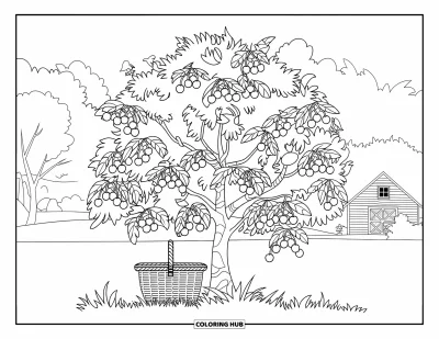 Coloriage du Michigan pour enfants : Cerisier avec un panier, une grange et des oiseaux perchés