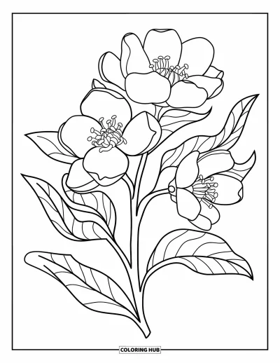 Coloriage du Michigan pour enfants : Fleur de pommier expressive avec de beaux pétales et des feuilles