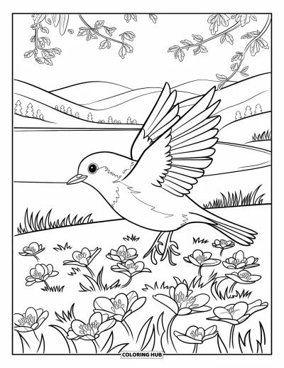 Coloriage du Michigan pour enfants : Rouge-gorge volant au-dessus de fleurs de pommier