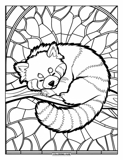 Coloriage de panda roux pour adultes : Un panda roux dort recroquevillé sur une branche ornée de motifs de vitraux
