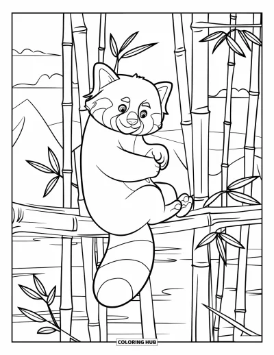 Coloriage de panda roux pour enfants : Un panda roux recroquevillé se repose dans un arbre entouré de lianes