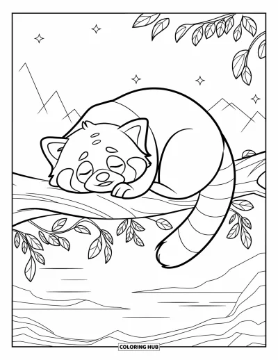 Coloriage de panda roux pour enfants : Un panda roux serein dort sur une branche sous un ciel étoilé