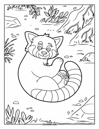 Coloriage de panda roux pour enfants : Un panda roux espiègle se recroqueville sur un sol forestier avec des rochers