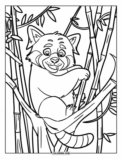 Coloriage de panda roux pour enfants : Un panda roux grimpe haut dans un arbre avec des lianes et des bambous