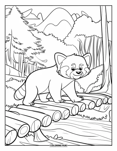 Coloriage de panda roux pour enfants : Un panda roux traverse un pont de bûches sur une rivière entouré d'arbres