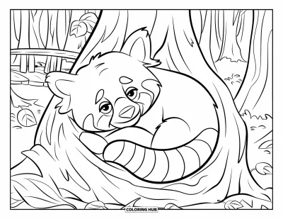 Coloriage de panda roux pour enfants : Un panda roux se blottit dans un recoin douillet entouré de feuilles mortes