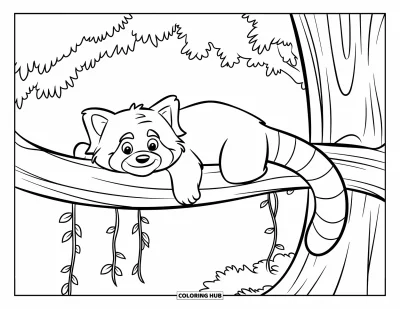75+ Coloriages de pandas roux pour enfants et adultes (Gratuits)