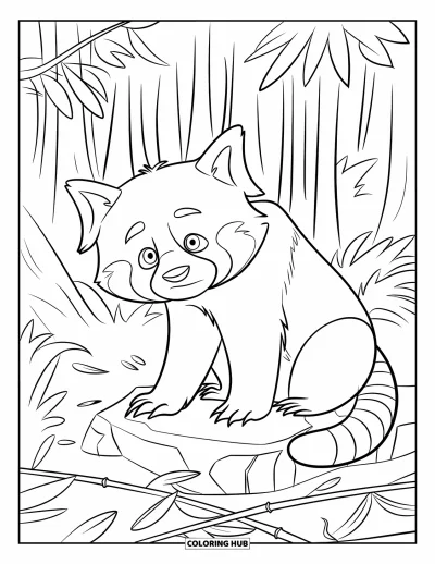 Coloriage de panda roux pour enfants : Un panda roux aux aguets renifle l'air depuis son rocher