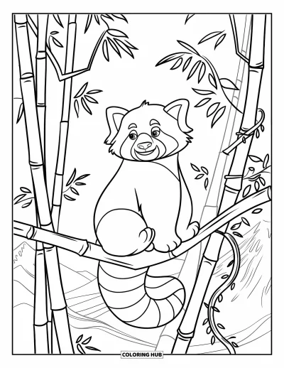 Coloriage de panda roux pour enfants : Un panda roux regarde sur le côté depuis son perchoir dans un grand arbre