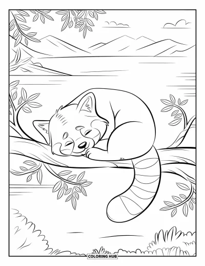 Coloriage de panda roux pour enfants : Un panda roux fait la sieste sur une branche surplombant des montagnes et de l'eau