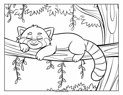 Coloriage de panda roux pour enfants : Un panda roux fait une sieste sur une branche feuillue ornée de lianes